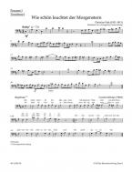 organ plus brass, volume II: cinq préludes de choral du romantisme 