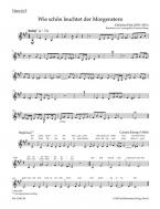 organ plus brass, volume II: cinq préludes de choral du romantisme 