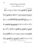 Loue le Seigneur, ô mon âme BWV 143 