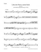 Loue le Seigneur, ô mon âme BWV 143 