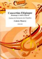 Concertino Elégiaque Standard