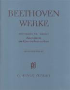 Cadenzas in the Piano Concertos Series 7 Volume 7 