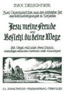 Zwei Choralpartiten 
