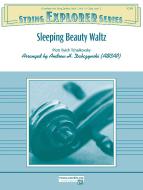 Sleeping Beauty Waltz Standard