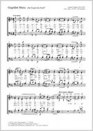 Le salut anglais Standard