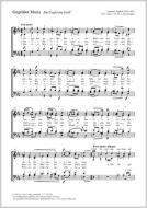 Le salut anglais Standard