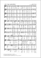 Ave, virgo, gratia plena G-Dur Standard