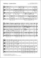 Halleluja Standard