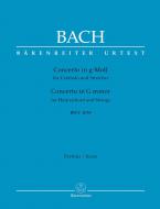 Concerto en sol mineur BWV 1058 