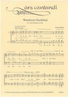 Wanderers Nachtlied 