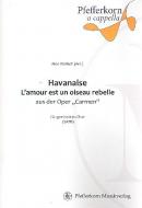 Havanaise - L'amour est un oiseau rebelle 