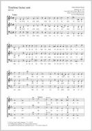 Tenebrae factae sunt MH 162 