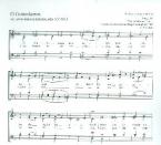O Gotteslamm KV 343, 1 