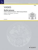 Balta ainava Standard
