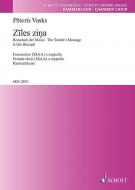 Ziles zina Standard