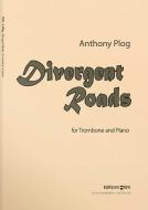 Divergent Roads Standard