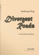 Divergent Roads Standard