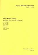 Der Herr lebet TWV 1:284 