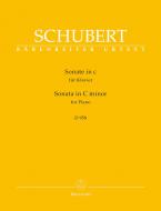 Sonate en ut mineur D 958 Standard