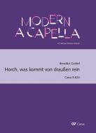 Horch, was kommt von draußen rein 
