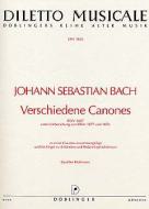 Verschiedene Canones 