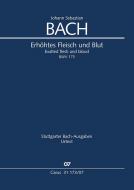Erhöhtes Fleisch und Blut 