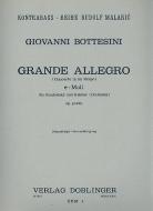 Grande Allegro e-moll 