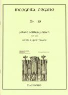 Incognita Organo 10 