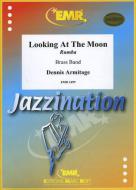 Looking At The Moon Download