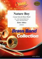 Nature Boy Download