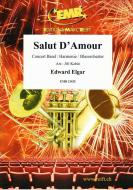 Salut D'Amour Download