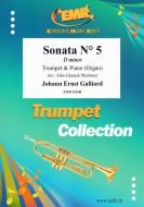 Sonata No. 5 in D minor Download