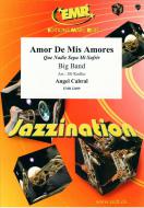 Amor De Mis Amores Download