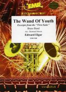 The Wand Of Youth Download