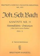 Lobet Gott in seinen Reichen 