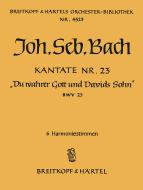 Du wahrer Gott und Davids Sohn 
