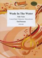 Wade In The Water Download