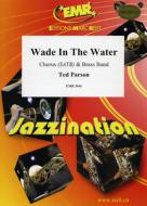 Wade In The Water Download