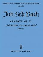 Falsche Welt, dir trau ich nicht 