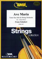 Ave Maria Standard