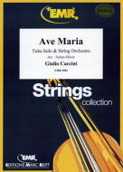 Ave Maria Standard
