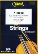 Nimrod Standard