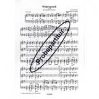 Widerspruch op. 105 