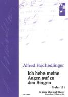 Ich hebe meine Augen auf zu den Bergen 