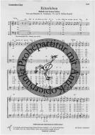 Ritterleben 