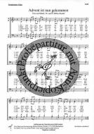 Advent ist nun gekommen 