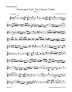 Oratorio de l'Ascension BWV 11 