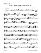 Oratorio de l'Ascension BWV 11 