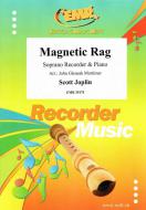 Magnetic Rag Standard