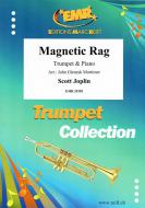 Magnetic Rag Standard